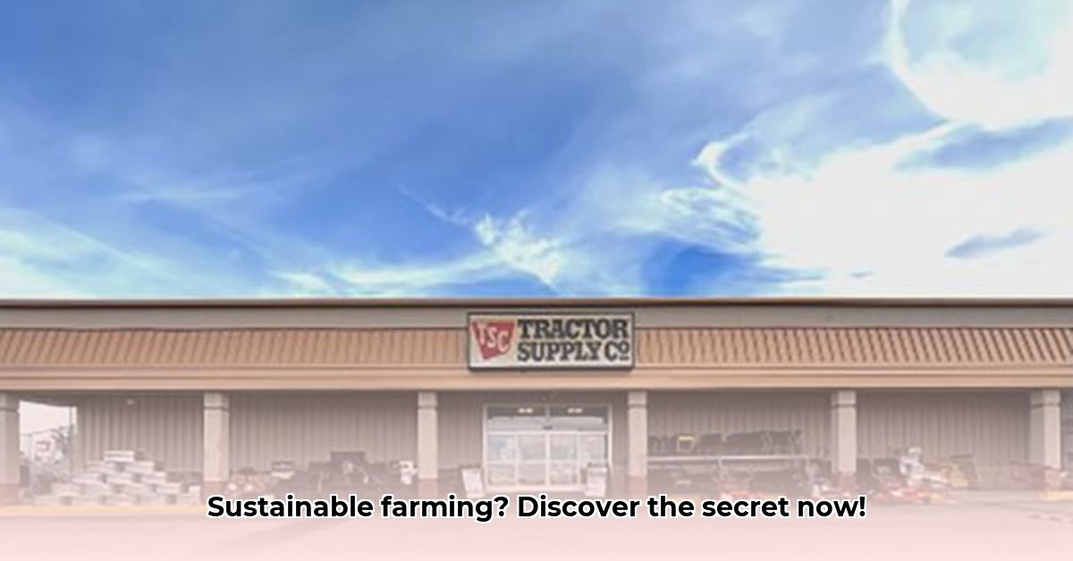 tractor-supply-central-avenue